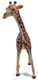 Mojo Male Giraffe - Front View